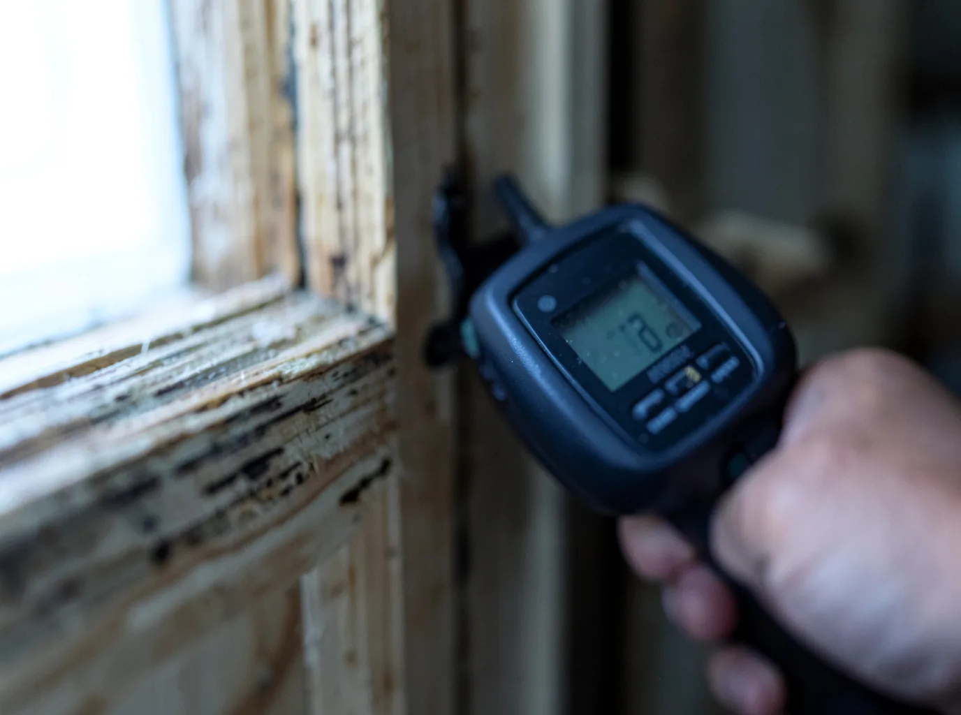 Moisture Inspection And Documentation in Dayhoit, KY